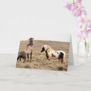 Wild Mustangs of the West Card