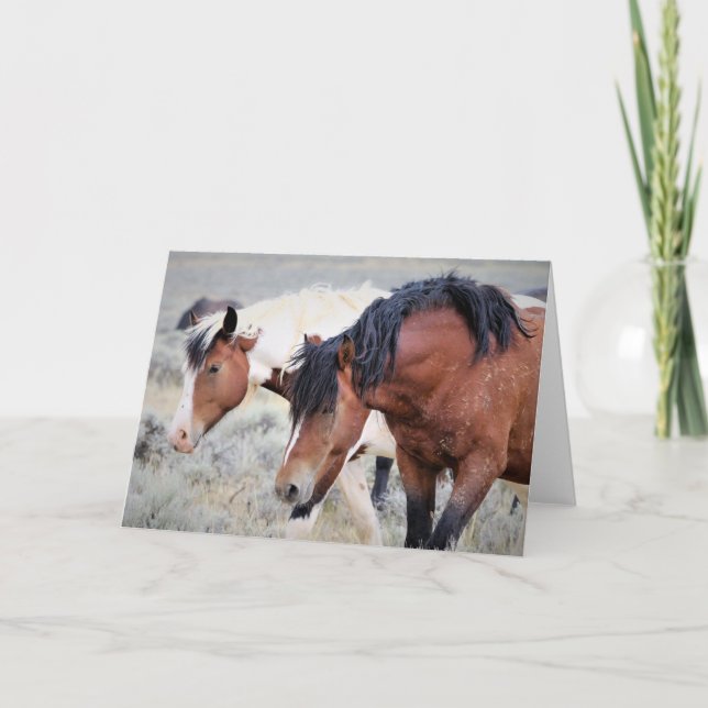 Wild Mustangs of the West Card (Front)