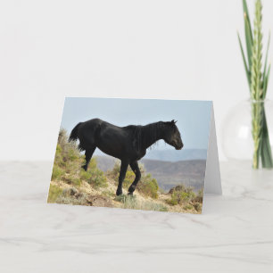 Wild Mustangs of the West Card