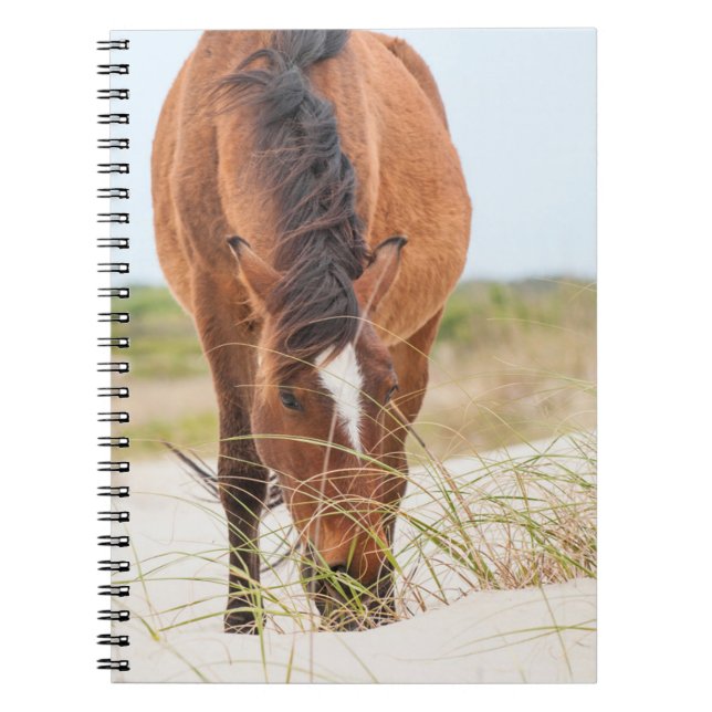 Wild Mustangs or Banker Horses Notebook (Front)