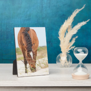 Wild Mustangs or Banker Horses Plaque