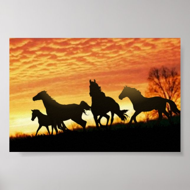 Wild Mustangs Poster (Front)