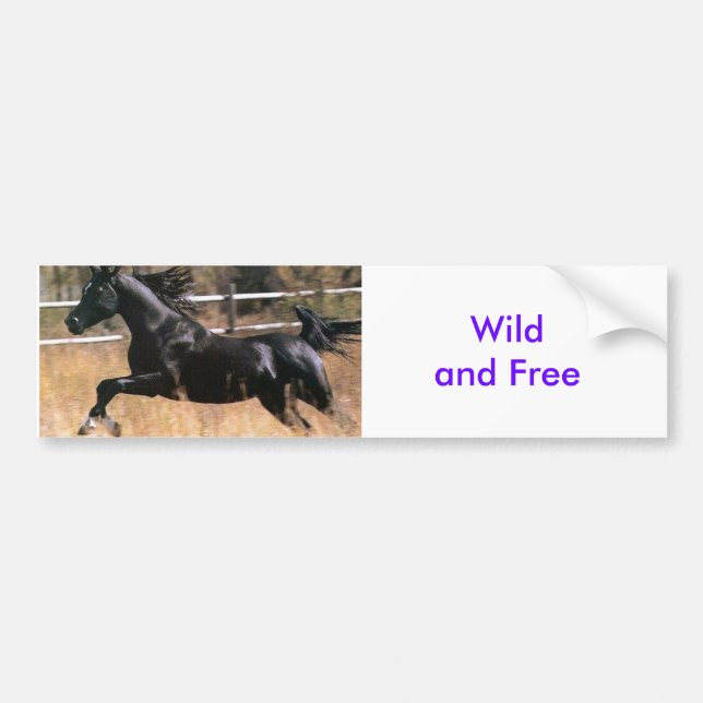 Wild 'n Free Bumper Sticker (Front)