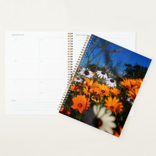 Wild Namaqualand flowers floral Planner