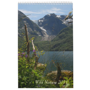 Wild Nature 2011 Calendar