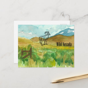 Wild Nevada Bighorn Sheep Desert Landscape Postcard