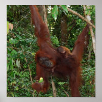 Wild One animal mother and baby