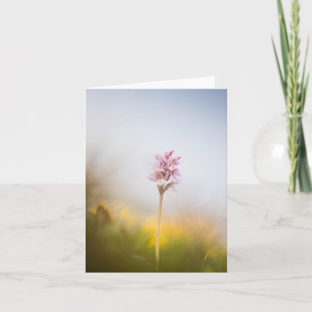 Wild Orchid Nature Photo Card (Front)