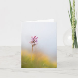 Wild Orchid Nature Photo Card