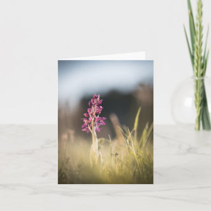 Wild Orchid Nature Photo Card
