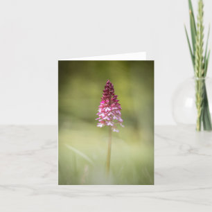 Wild Orchid Nature Photo Card
