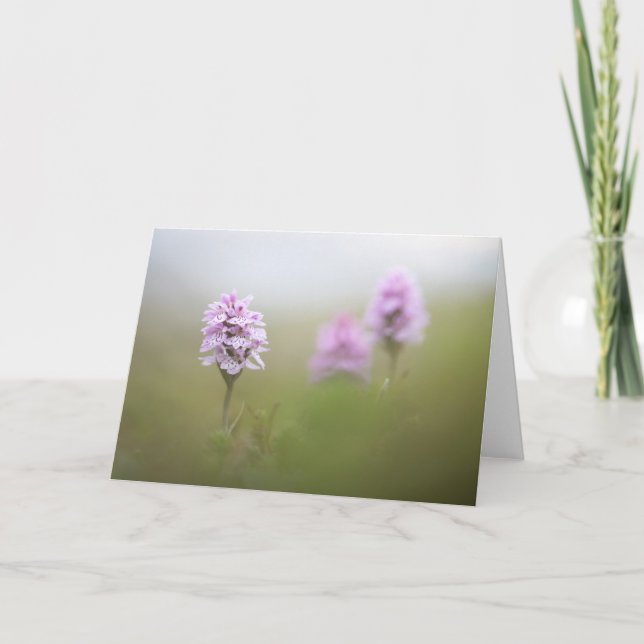 Wild Orchid Nature Photo Card (Front)