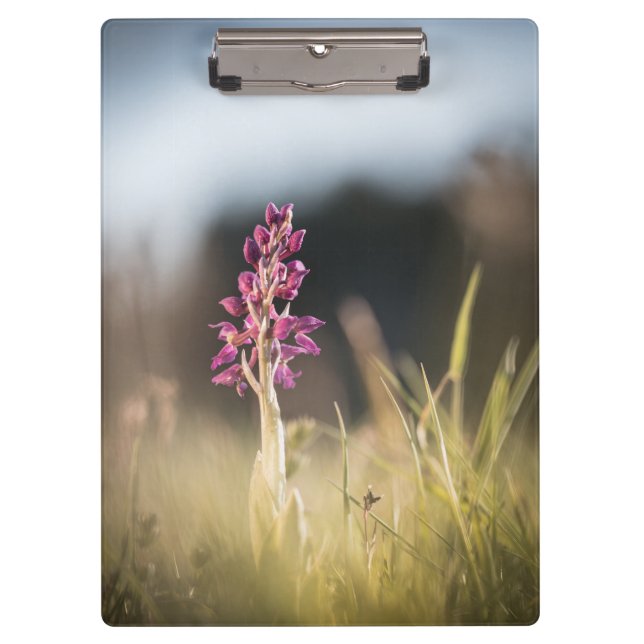 Wild Orchid Nature Photo Clipboard (Front)