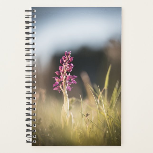 Wild Orchid Nature Photo Planner (Front)