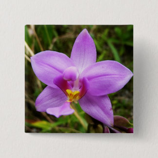 Wild Orchid Purple Tropical Flower 15 Cm Square Badge