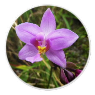 Wild Orchid Purple Tropical Flower Ceramic Knob