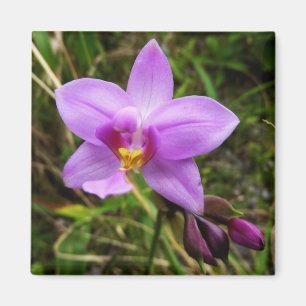 Wild Orchid Purple Tropical Flower Magnet