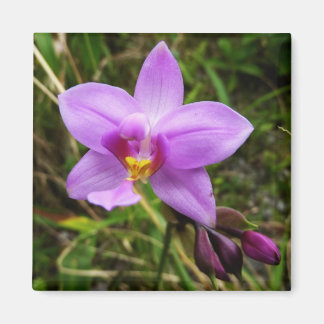 Wild Orchid Purple Tropical Flower Magnet