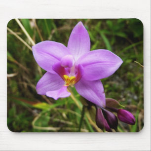 Wild Orchid Purple Tropical Flower Mouse Pad