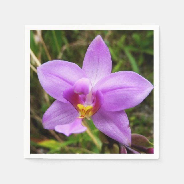 Wild Orchid Purple Tropical Flower Napkin (Front)