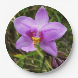 Wild Orchid Purple Tropical Flower Paper Plate