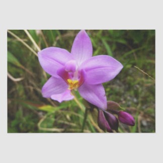 Wild Orchid Purple Tropical Flower Tissue Paper