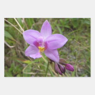 Wild Orchid Purple Tropical Flower Wrapping Paper Sheet