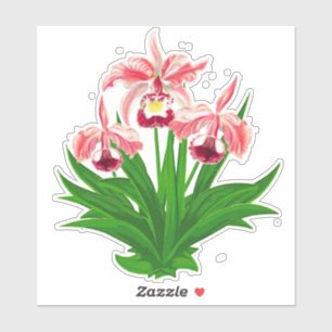 Wild Orchids - Coral Pink Orchids and Foliage