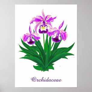 Wild Orchids - Light Purple Orchids and Foliage  Poster