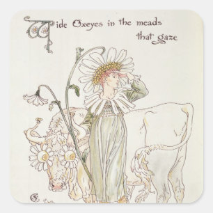 Wild Oxeyes in Meads that Gaze' Square Sticker