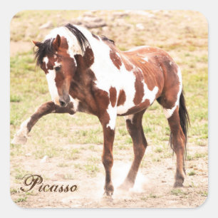 Wild Paint Horse Stallion Picasso Stickers