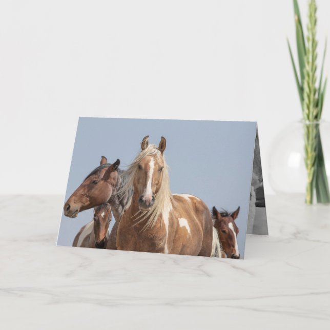 Wild Palomino Pinto Wild Horse Greeting Card (Front)