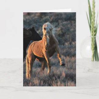 Wild Palomino Stallion Note Cards