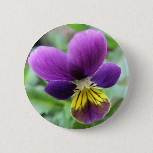 Wild Pansy Button (Front)