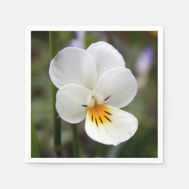 Wild Pansy Paper Napkins (Front)