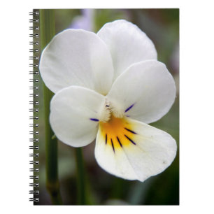 Wild Pansy Spiral Photo Notebook