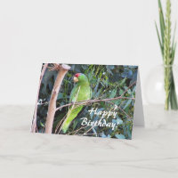 Wild Parrot Birthday Card