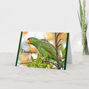 Wild Parrot Thankyou! Card
