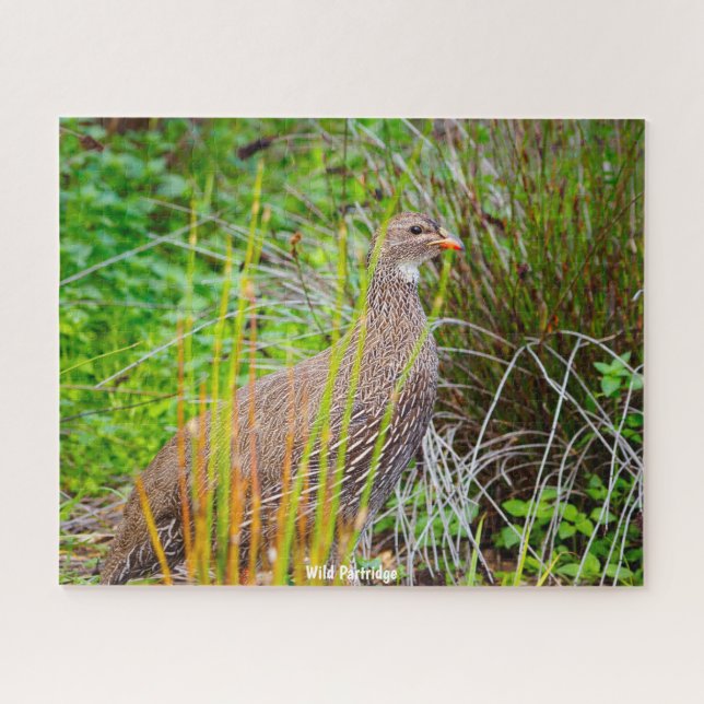 Wild Partridge Jigsaw Puzzle (Horizontal)
