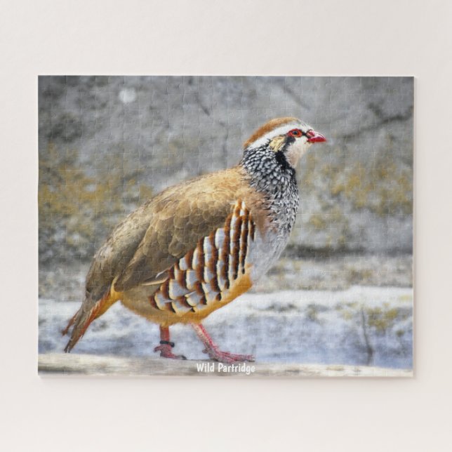 Wild Partridge Jigsaw Puzzle (Horizontal)