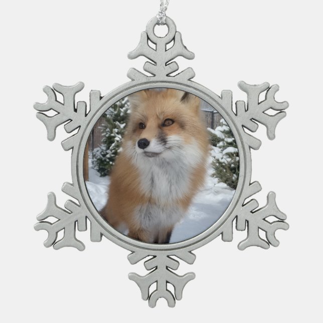 Wild Paws Finneas Snowflake Framed Ornament (Front)
