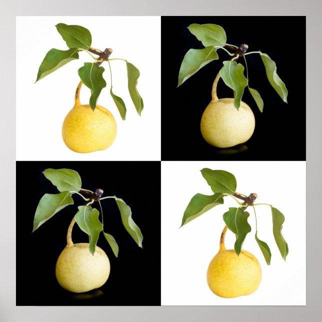 Wild pears poster (Front)