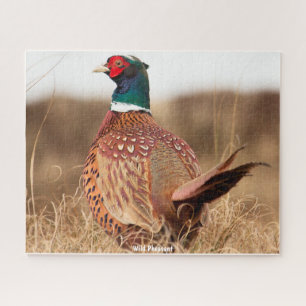 Wild Pheasant Jigsaw Puzzle