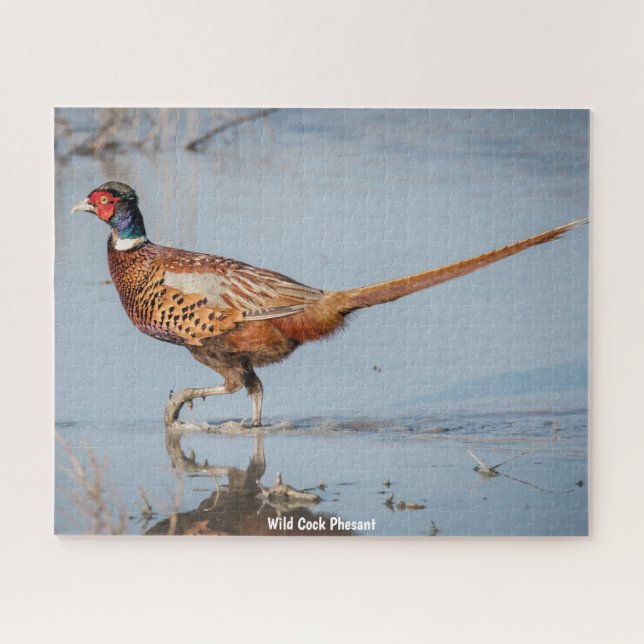 Wild  Phesant Jigsaw Puzzle (Horizontal)