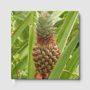 Wild Pineapple Guest Book