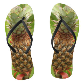 Wild Pineapple Tropical Fruit in Nature Jandals
