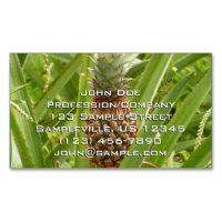 Wild Pineapple Tropical Fruit in Nature