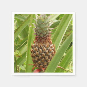 Wild Pineapple Tropical Fruit in Nature Napkin