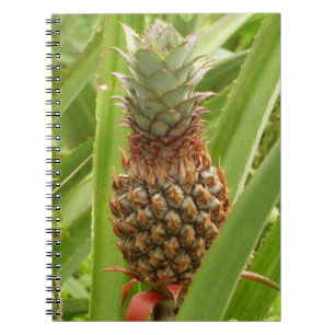 Wild Pineapple Tropical Fruit in Nature Notebook