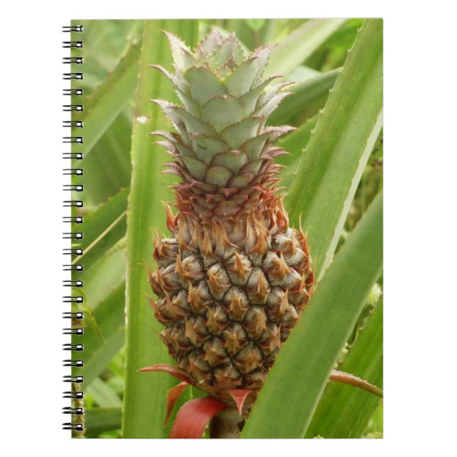 Wild Pineapple Tropical Fruit in Nature Notebook (Front)